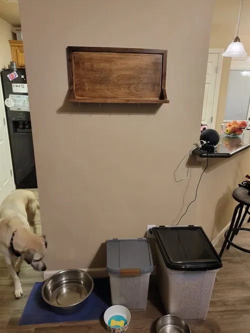 Shelf mounted on the wall before the photo collage was added, with a dog walking by